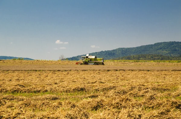 Harvester on the field — Stock Photo, Image