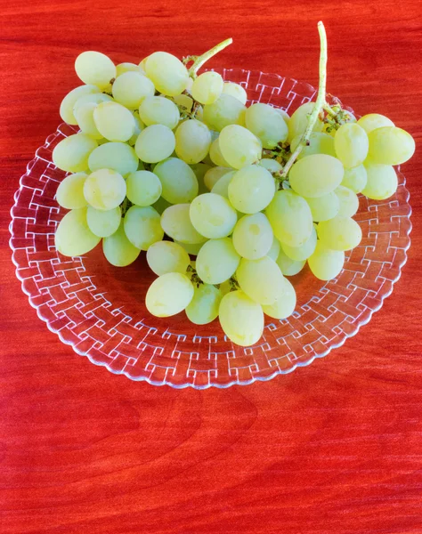 Druiven op tafel — Stockfoto