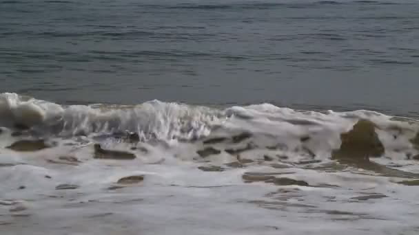 Vagues de mer et plage — Video