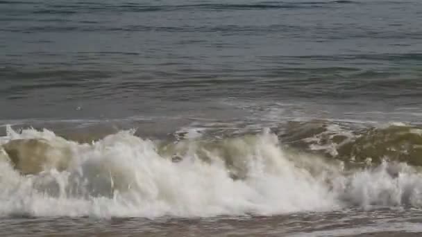 Meereswellen und Strand — Stockvideo