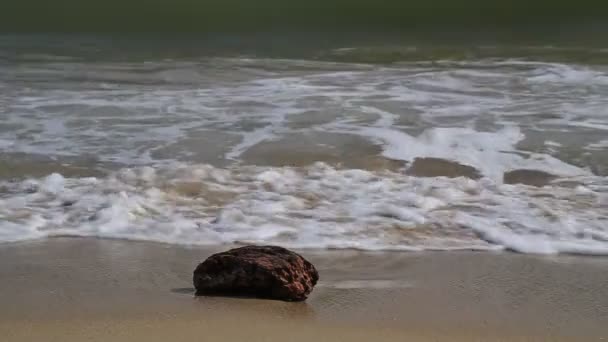 Vagues de mer et plage — Video