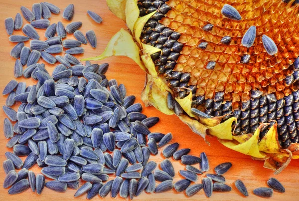 Girasol y semillas sobre fondo de madera — Foto de Stock