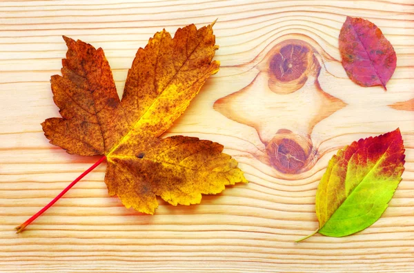 Colorful autumn leaf on wooden background — Stock Photo, Image