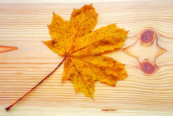 Colorful autumn leaf on wooden background — Stock Photo, Image