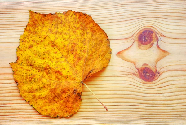 木製の背景にカラフルな秋の葉 — ストック写真