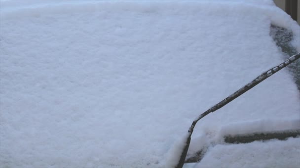 Mann reinigt Auto von Schnee — Stockvideo