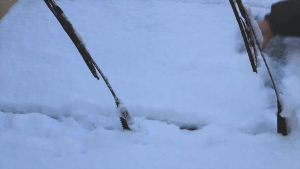 Man rengör bil från snö — Stockvideo