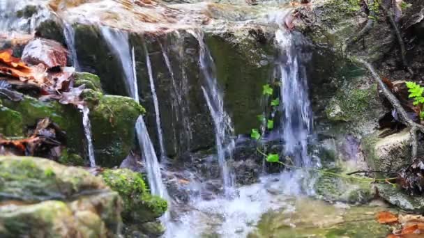 Stream running through rocks — Stock Video