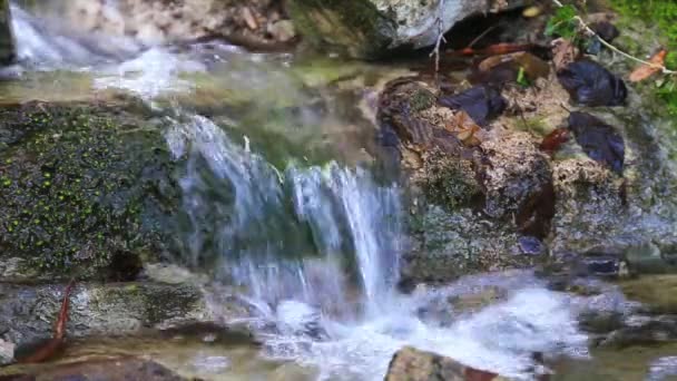 Bach fließt durch Felsen — Stockvideo