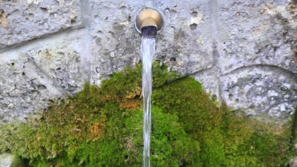 Fuente en el bosque — Vídeos de Stock