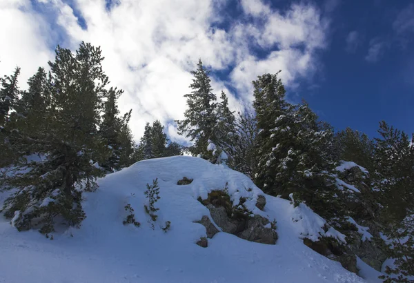 Vinterbergslandskap — Stockfoto