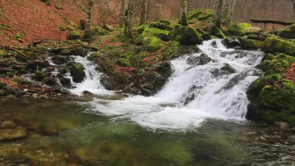 Mountain waterfall — Stock Video