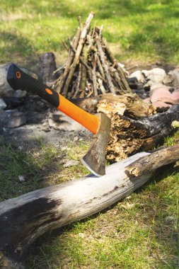 Ağaç gövdesi içinde sıkışmış balta