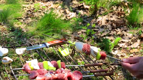 Preparing meat and vegetables — Stock Video