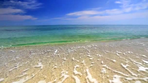 Havsvågor på stranden — Stockvideo