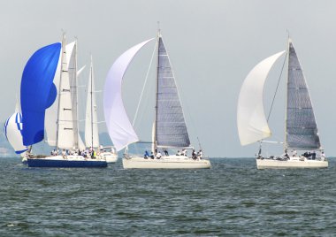 Denizdeki Yelkenliler