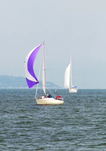 Sailboats in the sea — Stock Photo, Image