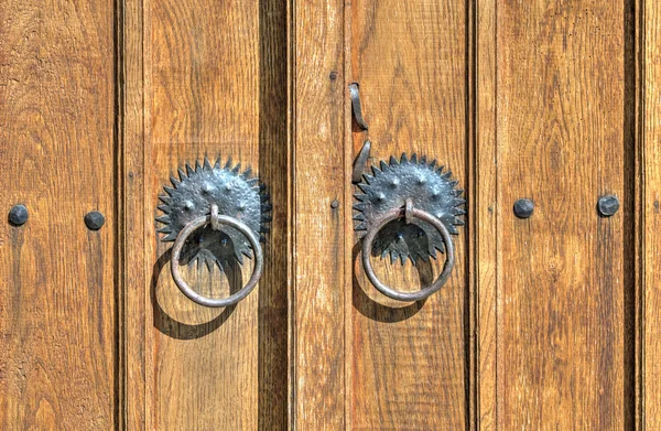 Дерев'яні двері з металевими прикрасами — стокове фото