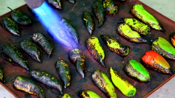 Roosteren peper met brander — Stockvideo