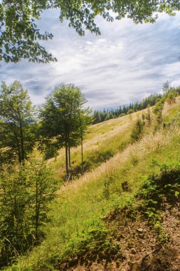 Yaz dağının güzel manzarası