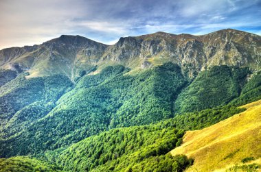 Yaz dağının güzel manzarası