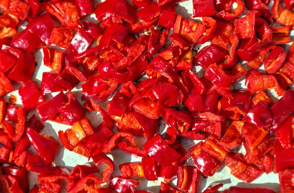 Torkning hackad röd paprika bakgrund — Stockfoto