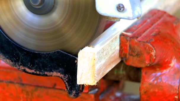 Worker with a circular saw cutting wooden board — Stock Video