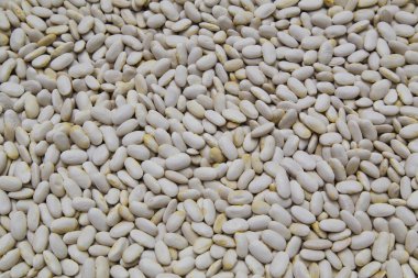 beyaz fasulye arka plan