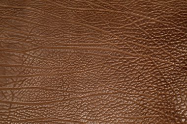 kahverengi inek yapısı deri