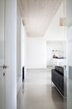 iç büyük lüks ev