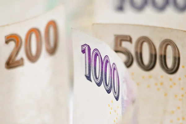 Czech money — Stock Photo, Image