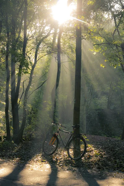 Bicicleta e manhã — Fotografia de Stock