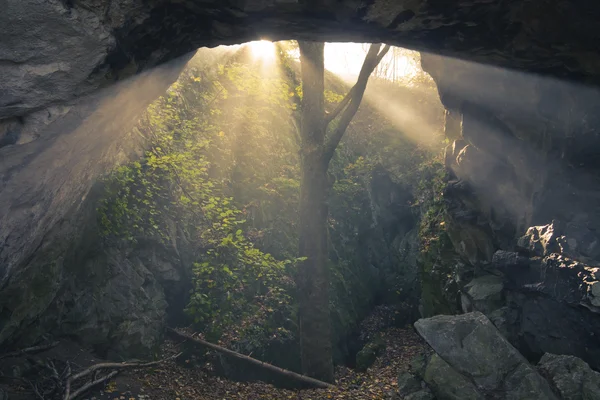 Sunshine în peșteră — Fotografie, imagine de stoc