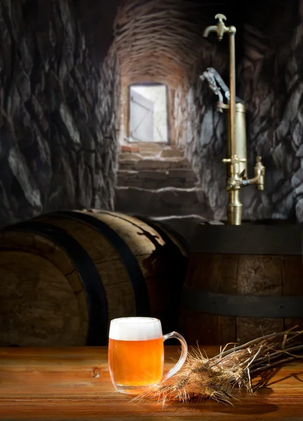 Beer and  stone stairs going from a cellar — Stock Photo, Image