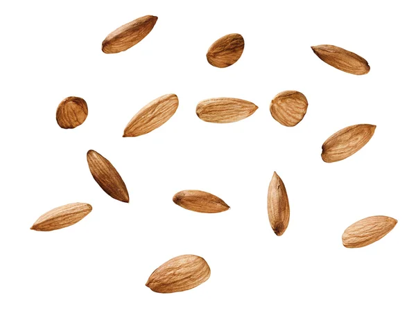 Almond pada latar belakang putih terisolasi — Stok Foto