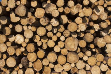 ahşap duvar arka plan