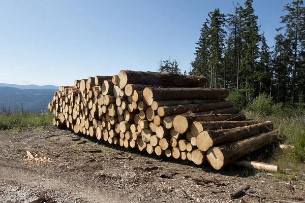 Mucchio di legno — Foto Stock