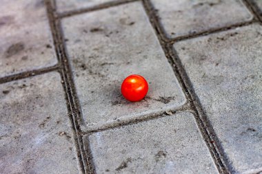 a concept photo where a ripe cherry tomato is laid on the city asphalt; the picture emphasizes that farming should flourish in the conditions of urban industry