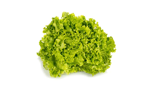 Frischer Salat isoliert auf weiß lizenzfreie Stockfotos