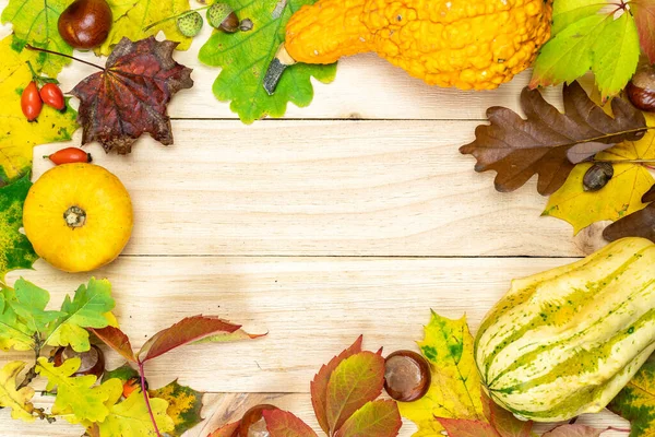 Herfst Bladeren Vallen Natuurlijke Oogst Met Sinaasappelpompoen Herfst Gedroogde Bladeren — Stockfoto