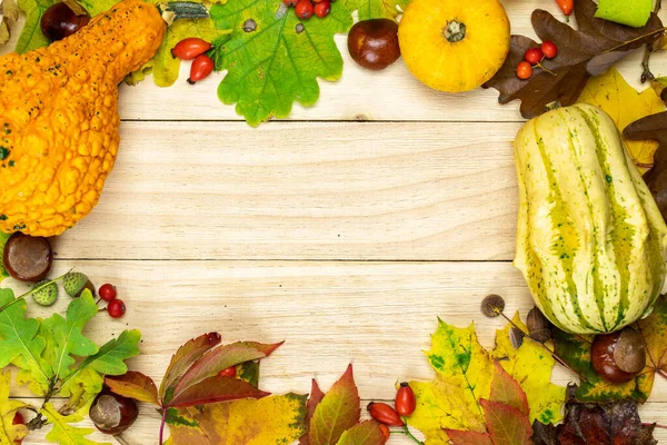 Vlakke Herfst Natuurlijke Oogst Met Sinaasappelpompoen Herfst Gedroogde Bladeren Rode — Stockfoto