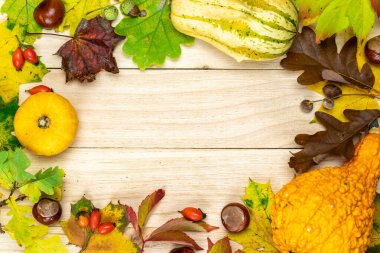 Soyut sonbahar. Turuncu kabaklı doğal hasat, kurumuş yapraklar, kırmızı böğürtlen ve meşe palamudu, şekil olarak ahşap arka planda kestaneler. Düz konum, üst görünüm, kopyalama alanı