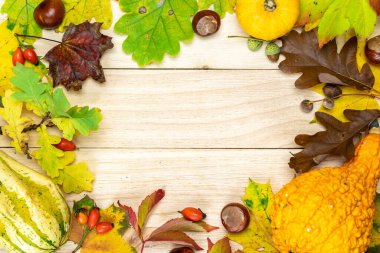 Şükran Günü geçmişi. Sonbaharda turuncu balkabağıyla doğal hasat, kurumuş yapraklar, kırmızı böğürtlen ve meşe palamudu, şekil olarak ahşap arka planda kestaneler. Tasarım modeli. Yatay