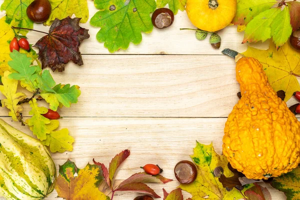 Halloween Concept Herfst Natuurlijke Oogst Met Sinaasappelpompoen Herfst Gedroogde Bladeren — Stockfoto