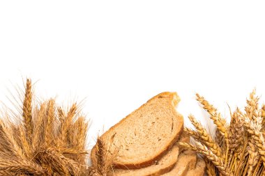 Köy ekmeği. Buğday tohumu kulaklı ve beyaz arka planda izole edilmiş taze bir somun köy ekmeği. Çavdar ekmeği ve ekmek kırıntılarıyla. Konsept - Evde Yemek Pişirme