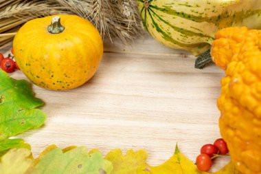 Şükran Günü yemeği. Sonbahar hasadı çavdar kazığı, portakal kabağı, kurumuş yapraklar, kırmızı böğürtlen ve meşe palamudu, ahşap arka planda kestaneler. Mevsimlik teklifler ve tatil kartpostalları için