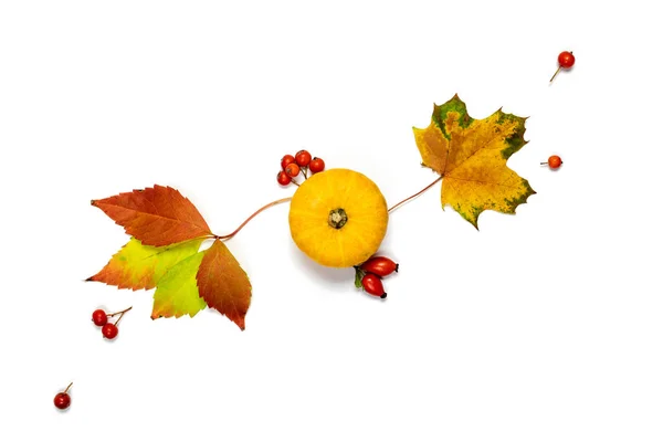 Deitado Outono Comida Natural Colheita Com Abóbora Laranja Queda Folhas — Fotografia de Stock