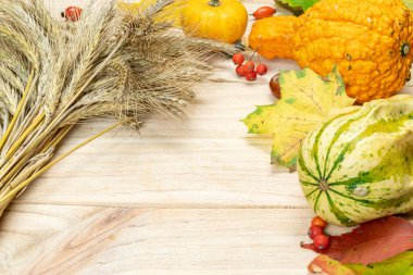 Yaprak sonbaharı. Çavdar kazığı, portakal kabağı, kurumuş yapraklar, kırmızı böğürtlen ve meşe palamudu, ahşap arka planda kestane. Güzel, parlak, sonbahar doğası. Hasat et