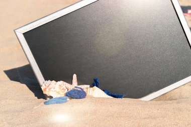 Deniz kabukları. Deniz yıldızı, deniz kabukları, oyuncak uçak ve karatahtanın yanındaki okyanus doğası plajı. Kopyalama alanı olan sakin sahil sahnesi