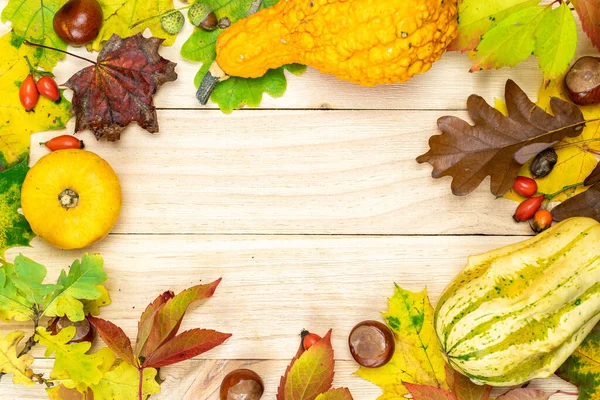 Thanksgiving Achtergrond Herfst Natuurlijke Oogst Met Sinaasappelpompoen Herfst Gedroogde Bladeren — Stockfoto